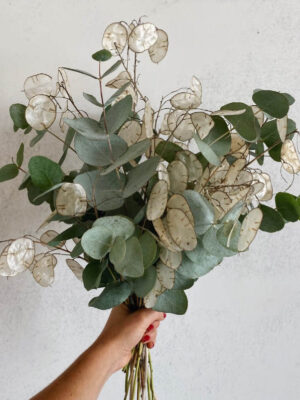 Ramo de Peonías y Eucalipto