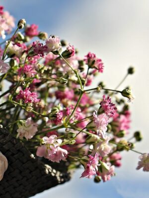 Ramos de Flores Silvestres